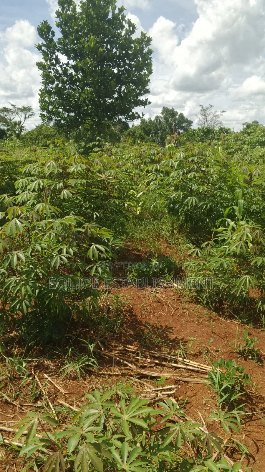 Plot's Available Kikandwa Mukono Kayunga Road