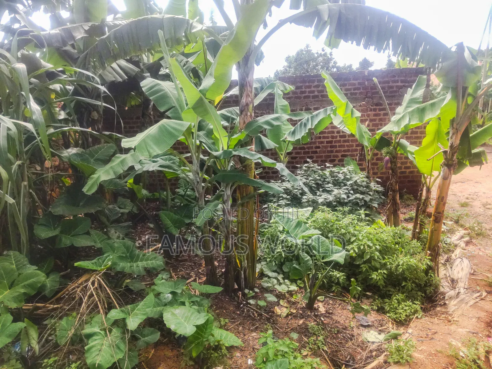 3bdrm House in Tanda Entebbe, Katabi for sale