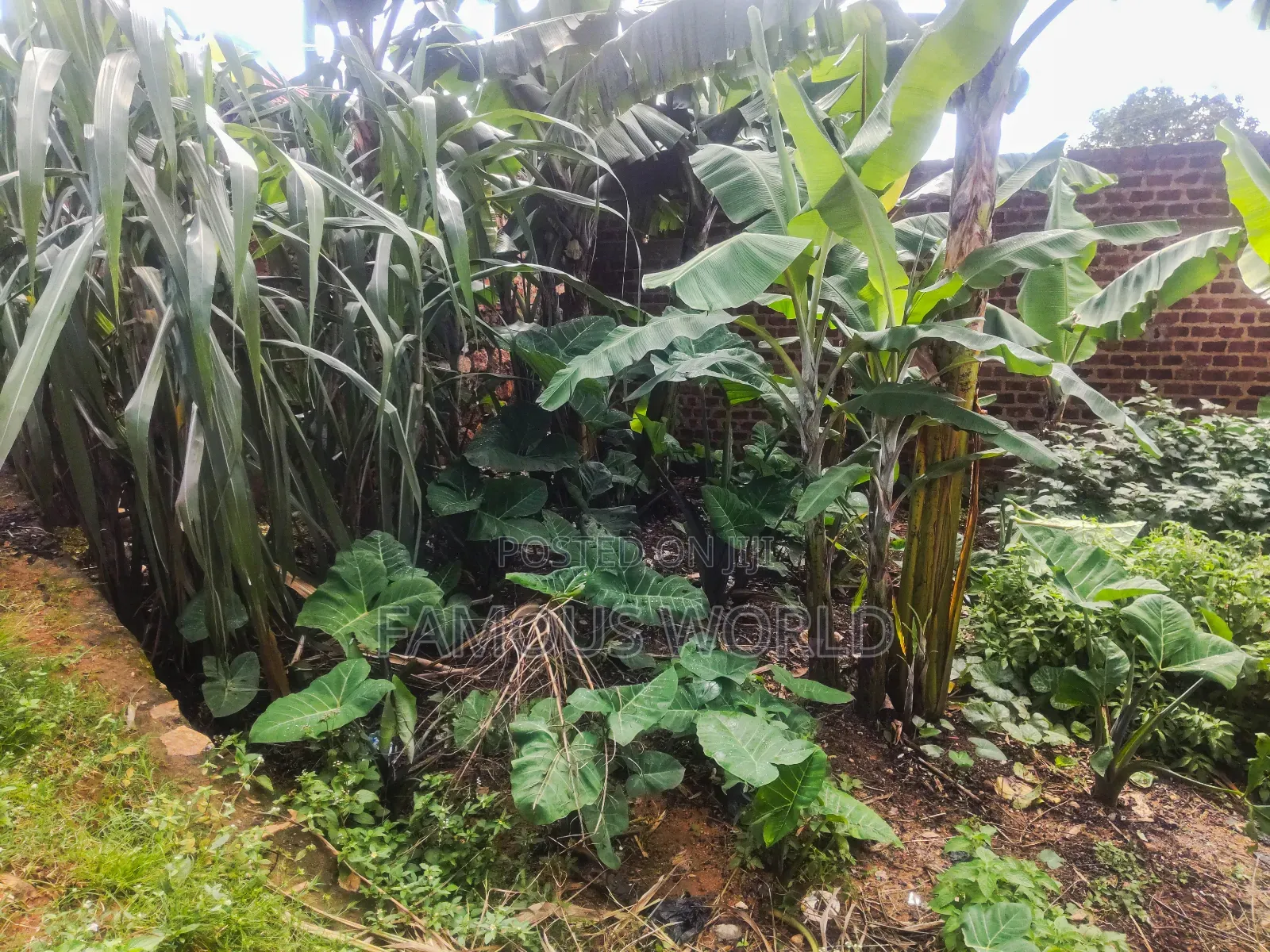 3bdrm House in Tanda Entebbe, Katabi for sale