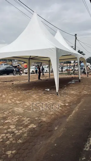 A Pure White Party Tent