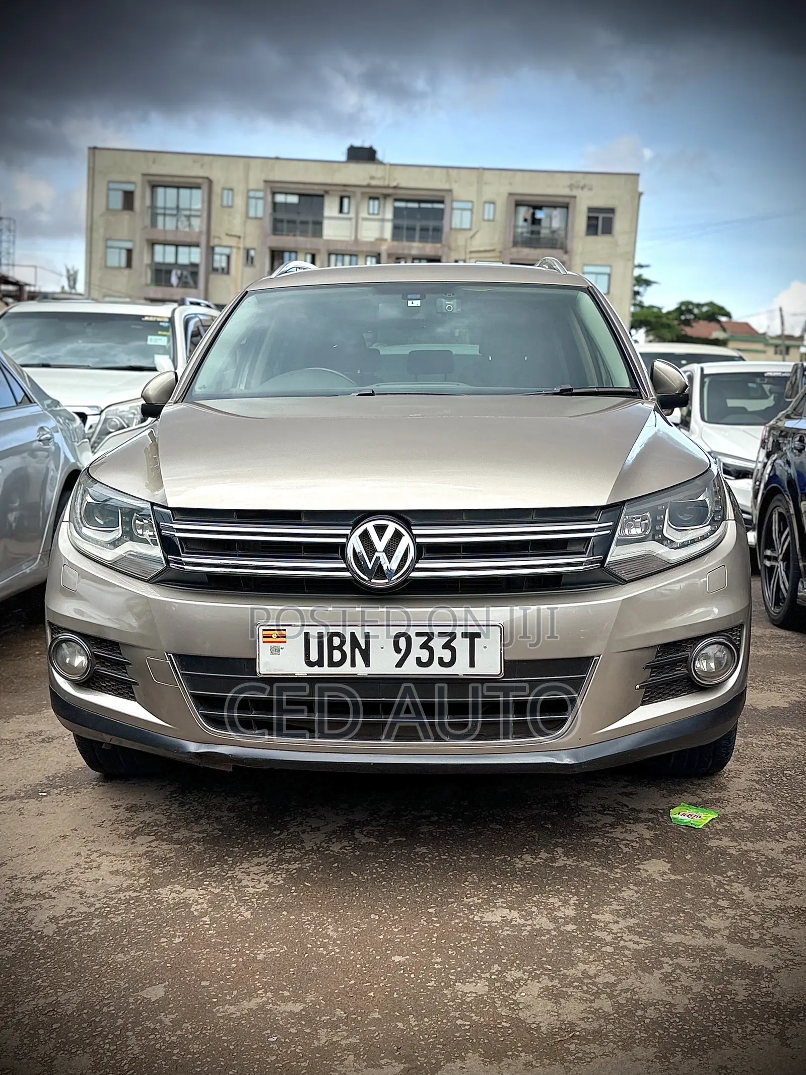 Volkswagen Tiguan 2013 Brown
