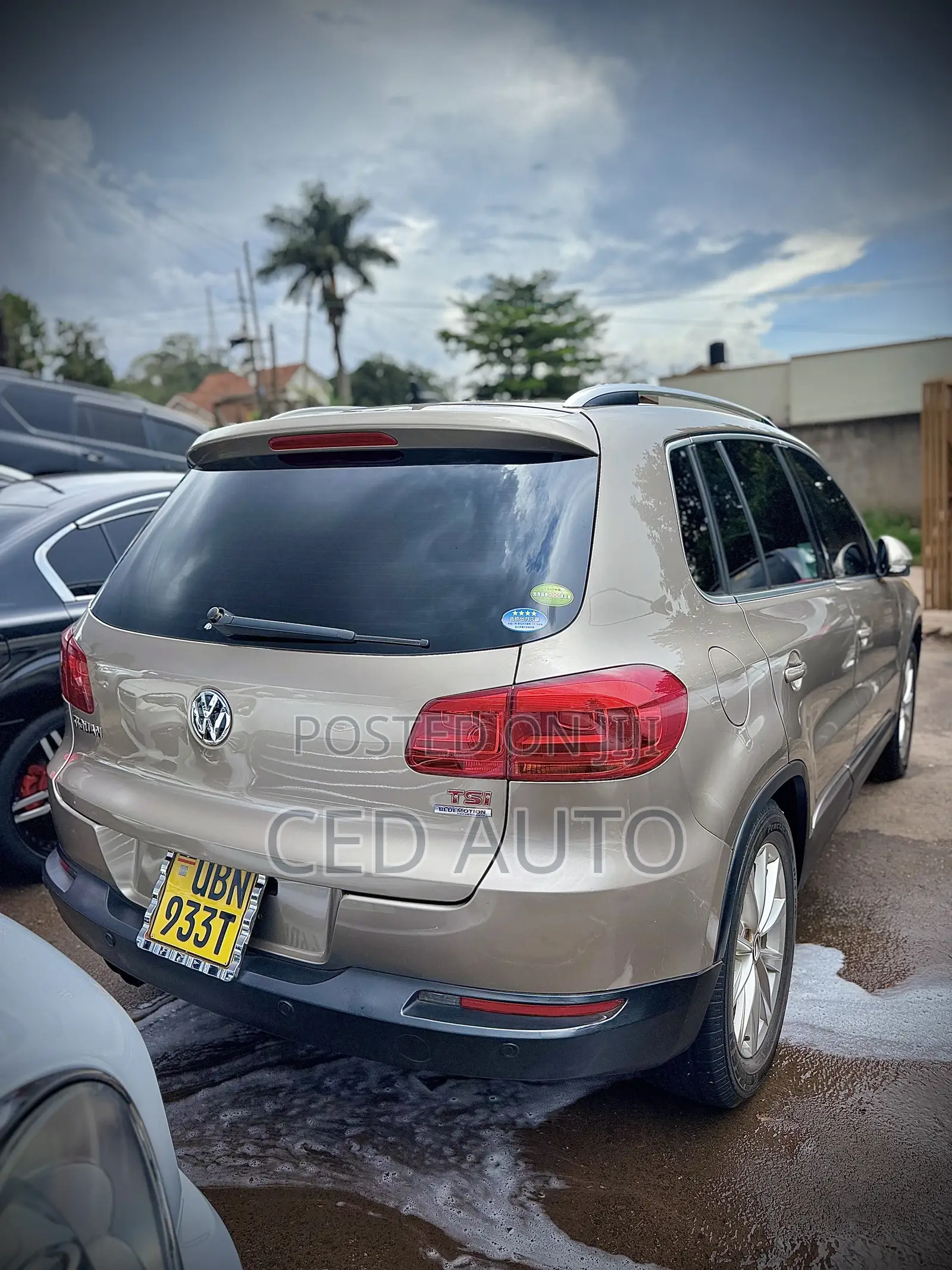 Volkswagen Tiguan 2013 Brown