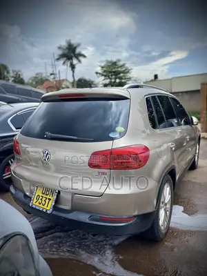 Volkswagen Tiguan 2013 Brown