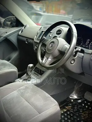 Volkswagen Tiguan 2013 Brown