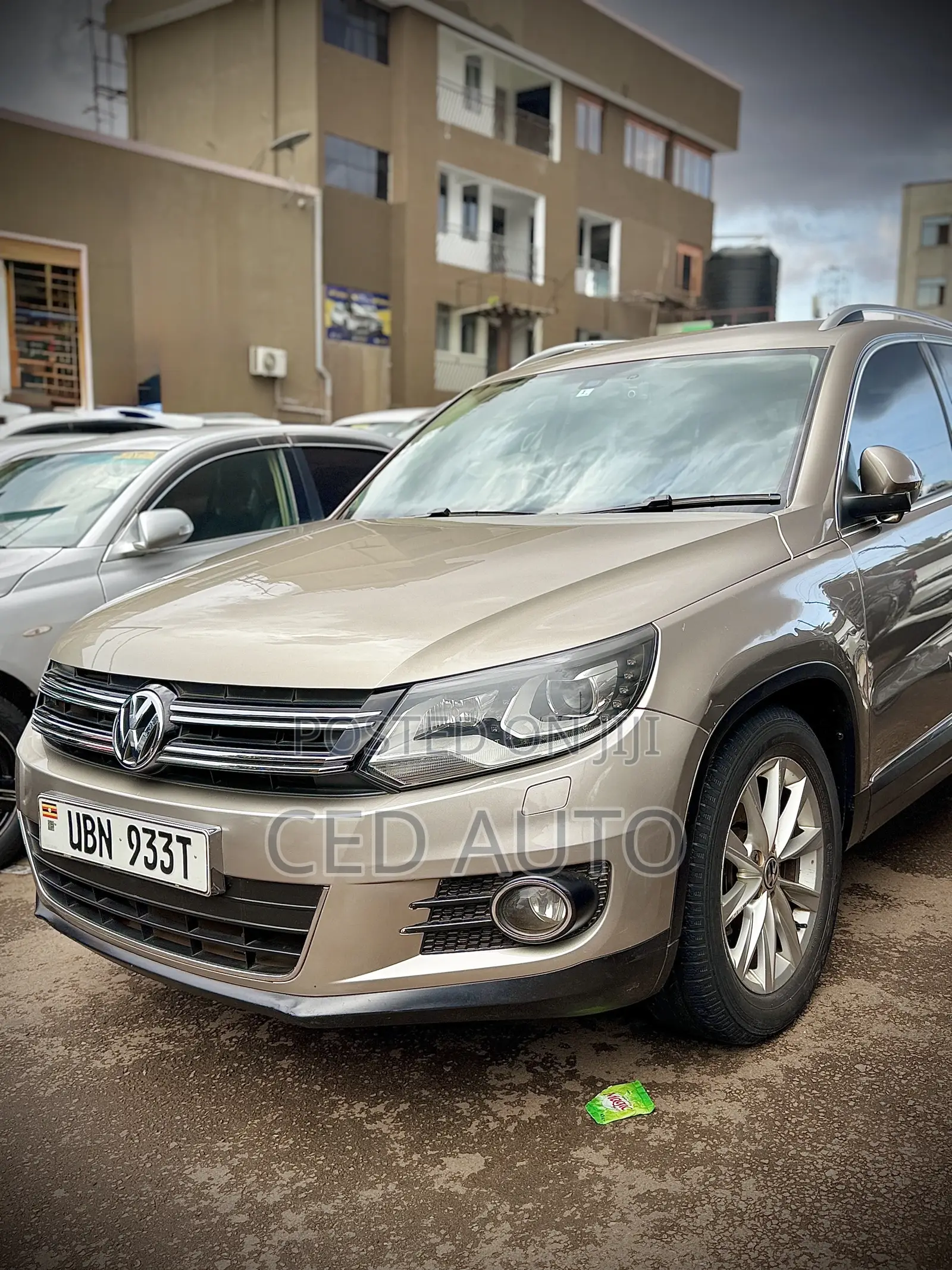 Volkswagen Tiguan 2013 Brown