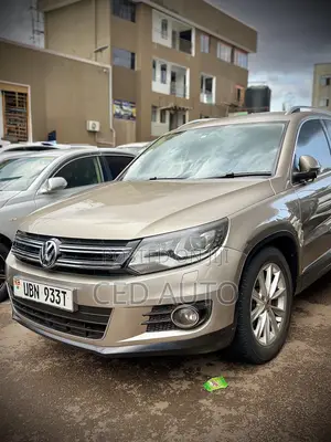 Volkswagen Tiguan 2013 Brown