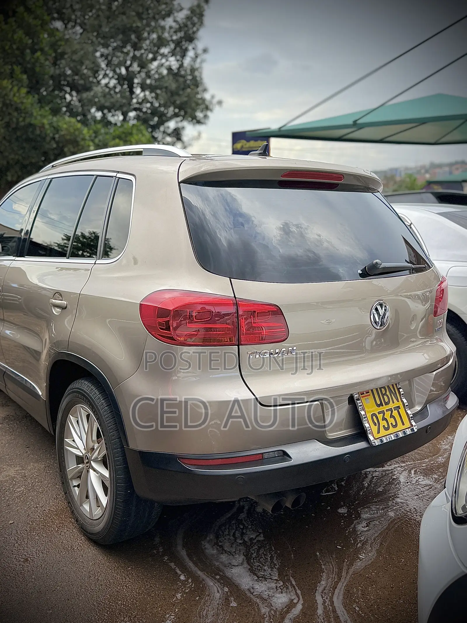 Volkswagen Tiguan 2013 Brown