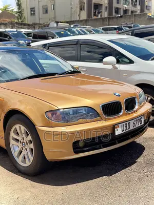 BMW 318i 2006 Brown