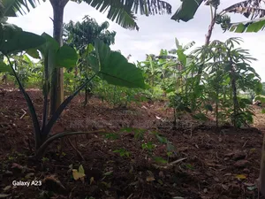 Titled Plot on Quick Sale in Matugga Kavule Town