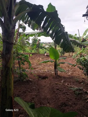 Titled Plot on Quick Sale in Matugga Kavule Town