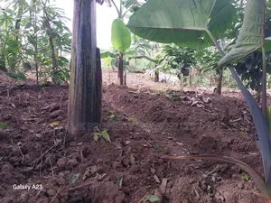 Titled Plot on Quick Sale in Matugga Kavule Town