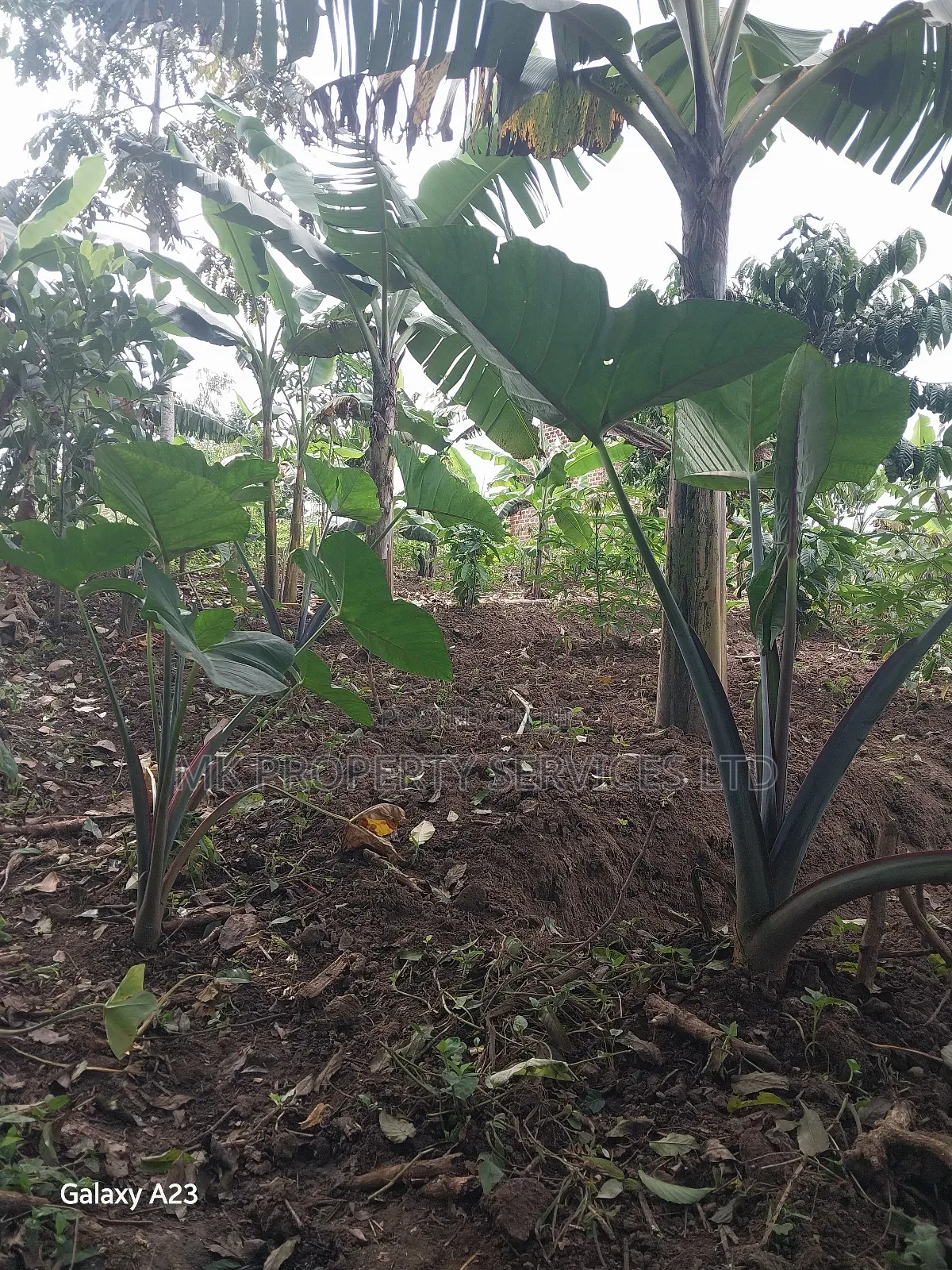 Titled Plot on Quick Sale in Matugga Kavule Town