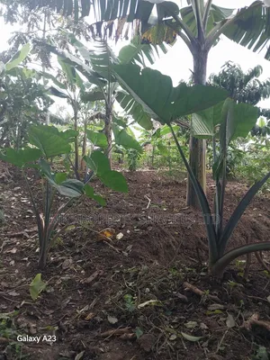 Titled Plot on Quick Sale in Matugga Kavule Town
