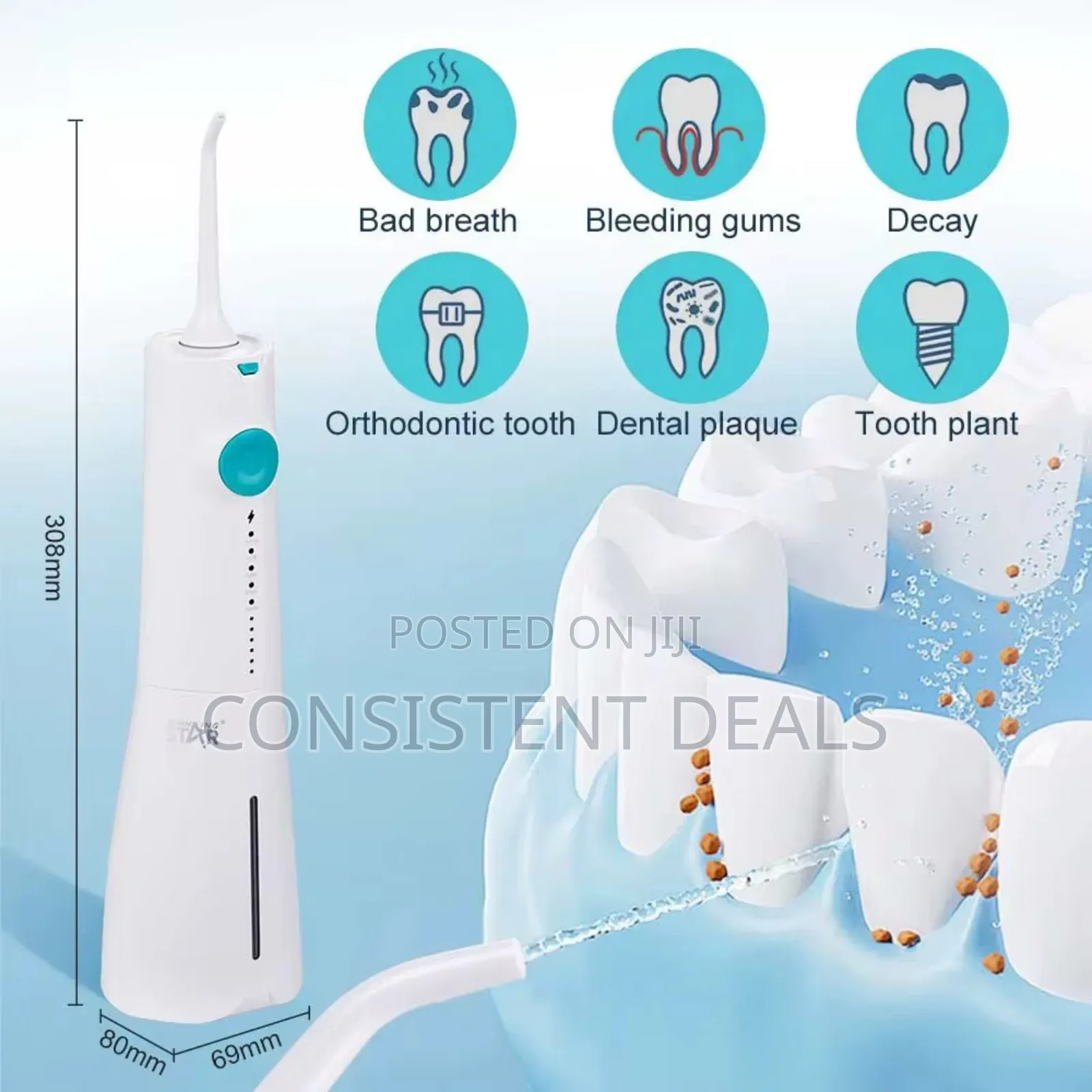 Winning Star Portable Water Dental Flosser for Teeth Cordless