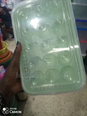 Egg Storage Container With a Transparent Lid.