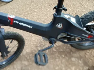 Kids Bicycle