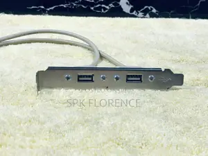 Port Usb 2.0 a Female Slot Plate Adapter Used to Add Extra Usb Port