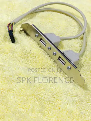 Port Usb 2.0 a Female Slot Plate Adapter Used to Add Extra Usb Port