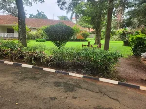 4bdrm Bungalow in Kololo Property, Central Division for rent