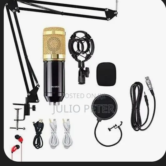 Bm 800 Studio Microphone