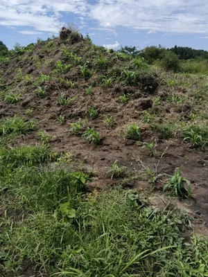 350 Acres , Kikyusa Luwero , Each 7.5m