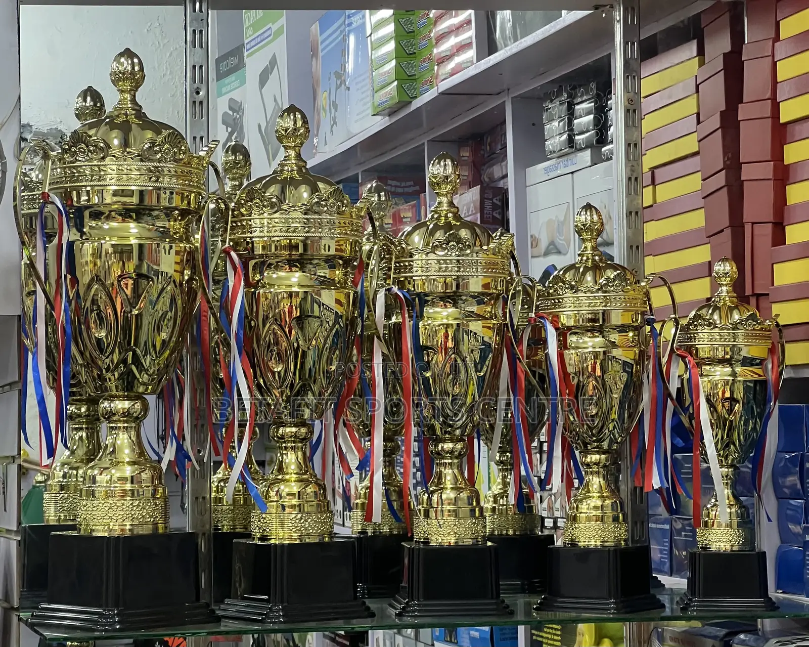 Soccer Trophies (Different Sizes)