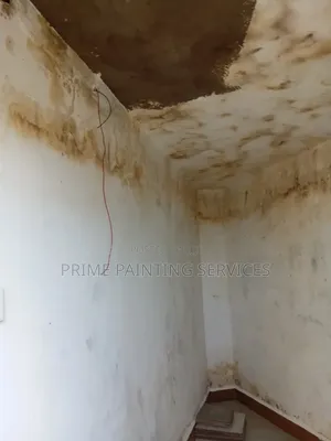 Prime Painting Servies