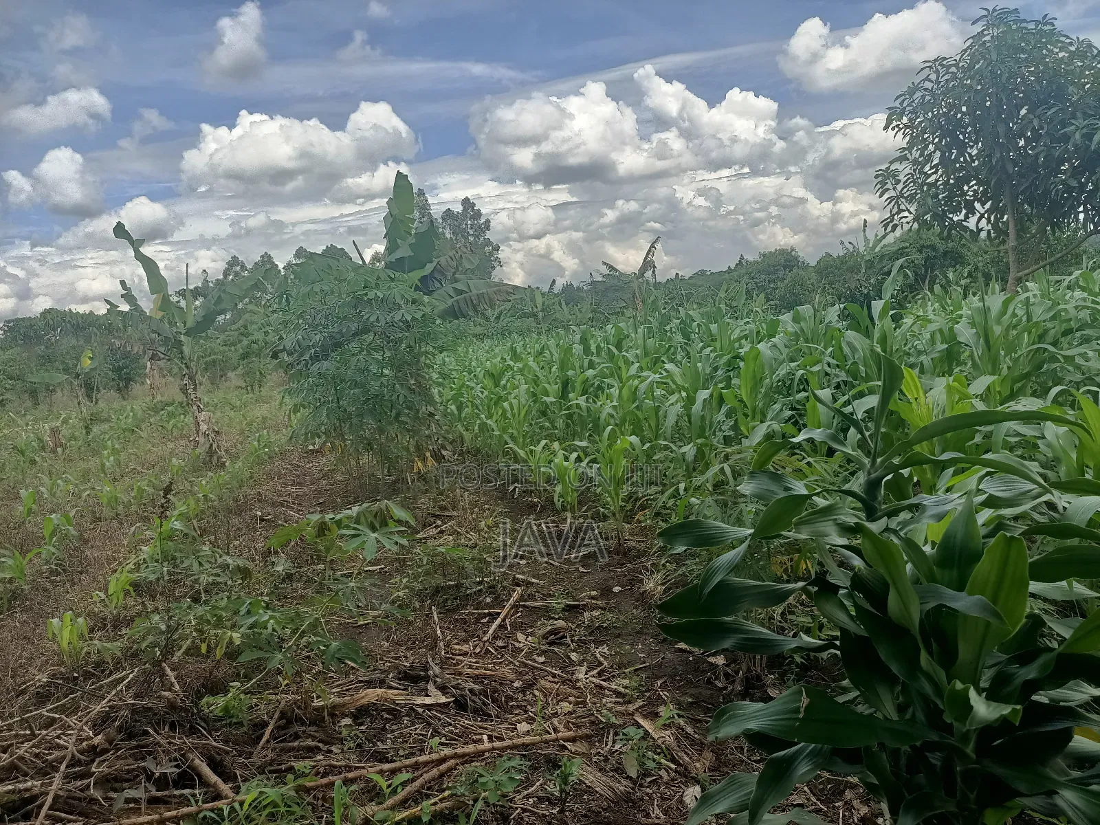 1 Acre of Land Very Suitable Location
