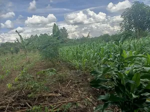 1 Acre of Land Very Suitable Location