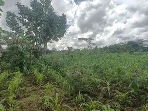 1 Acre of Land Very Suitable Location
