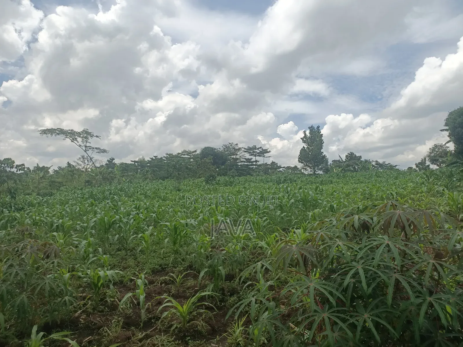 1 Acre of Land Very Suitable Location