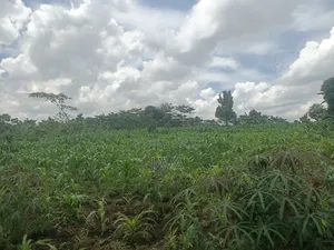1 Acre of Land Very Suitable Location