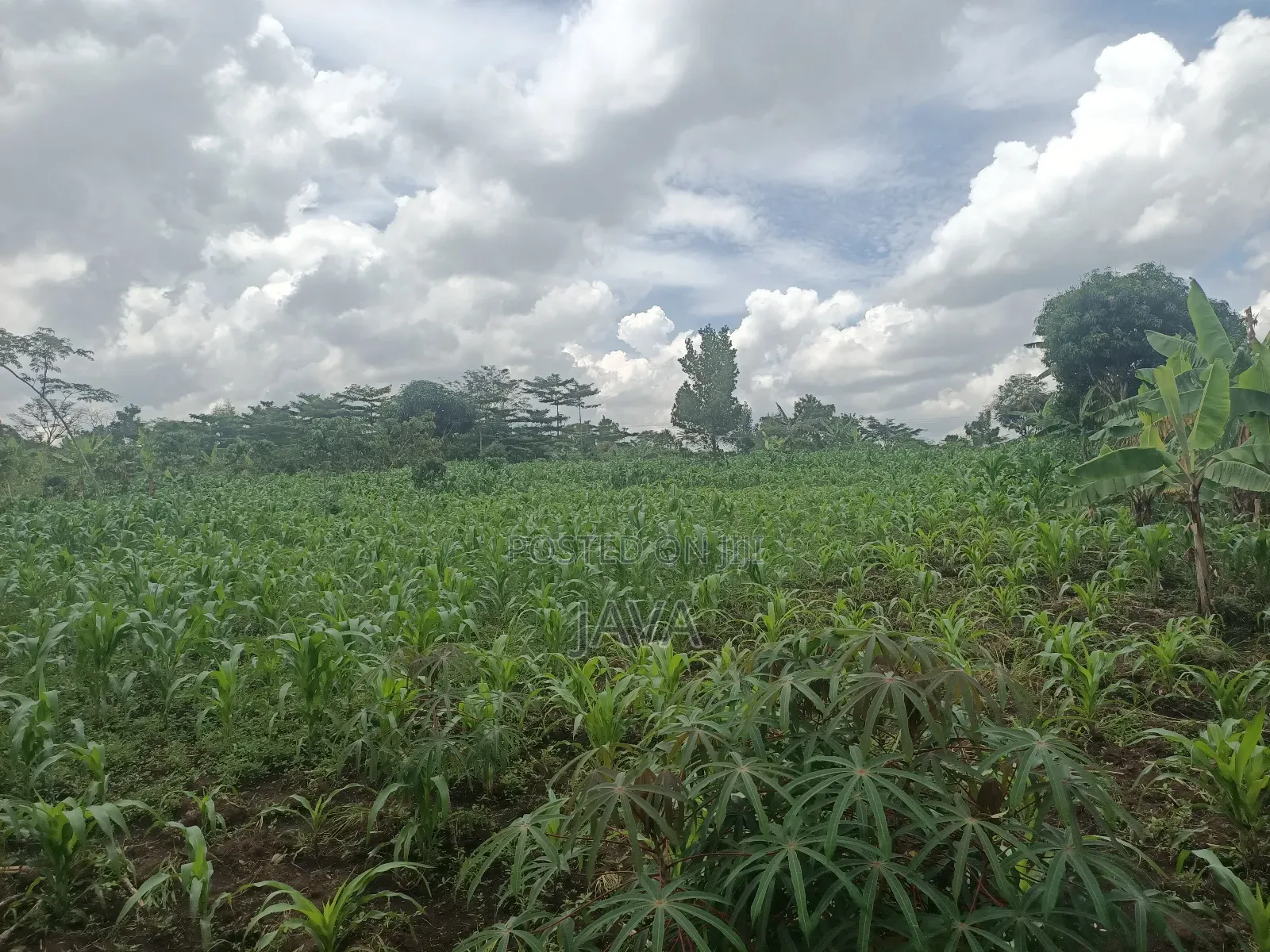 1 Acre of Land Very Suitable Location