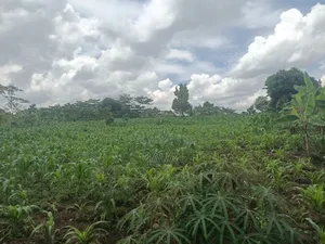 1 Acre of Land Very Suitable Location