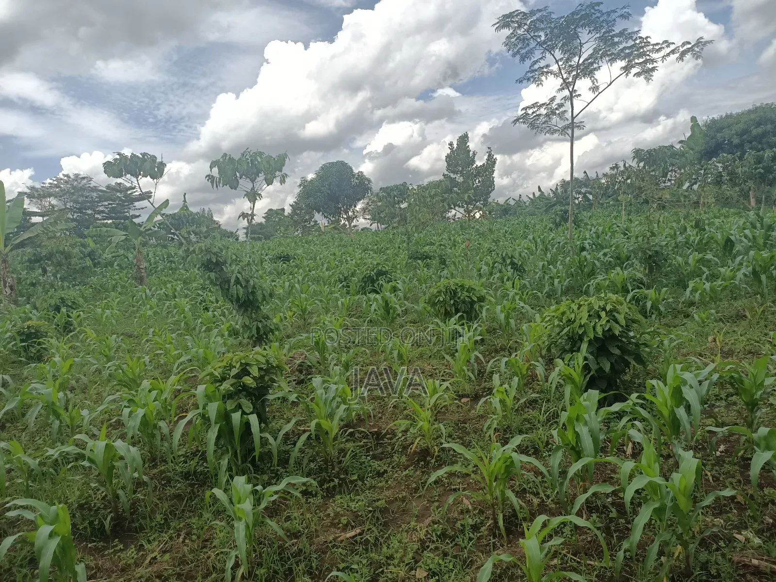 1 Acre of Land Very Suitable Location