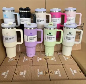 Stanley Quencher H2.0 Flowstate Tumblers.