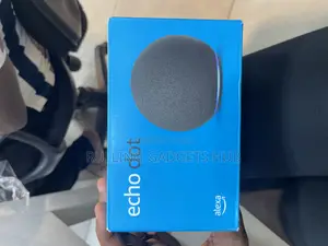 Alexa Echo Dot