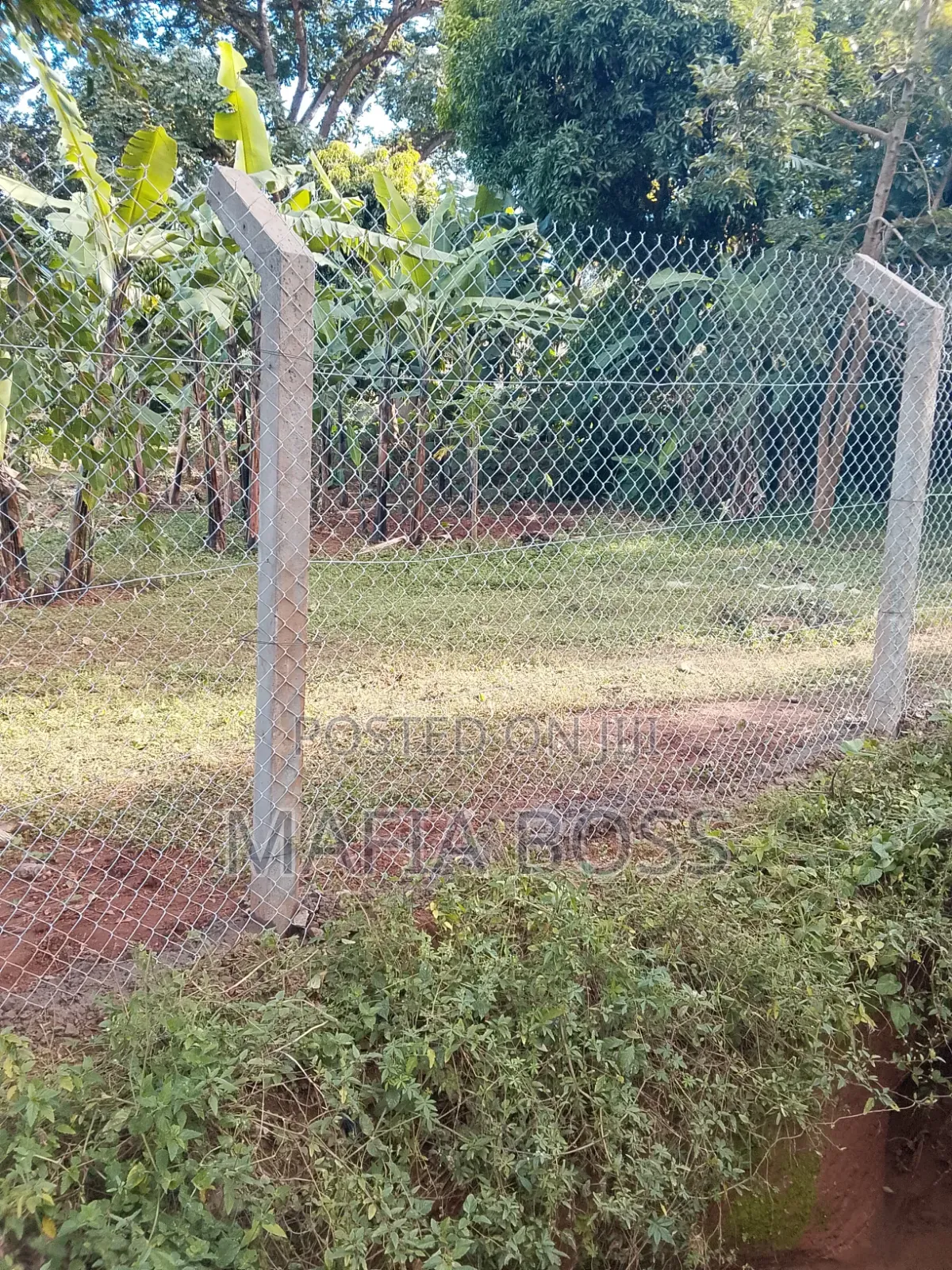 Electric Fencing System