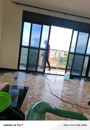 Professional Cleaning Services
