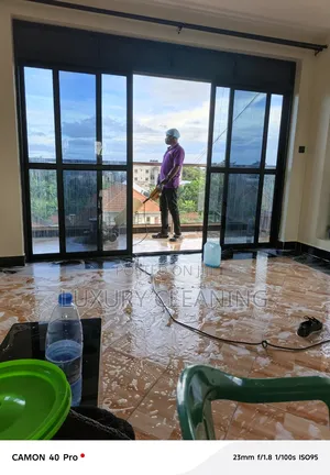 Professional Cleaning Services