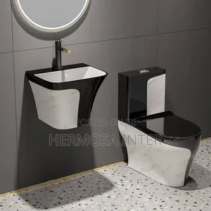 Wall Hung Handwash Basin and Toilet Seat With All Plumbing Accessories