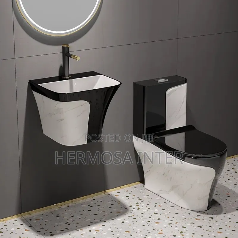 Wall Hung Handwash Basin and Toilet Seat With All Plumbing Accessories