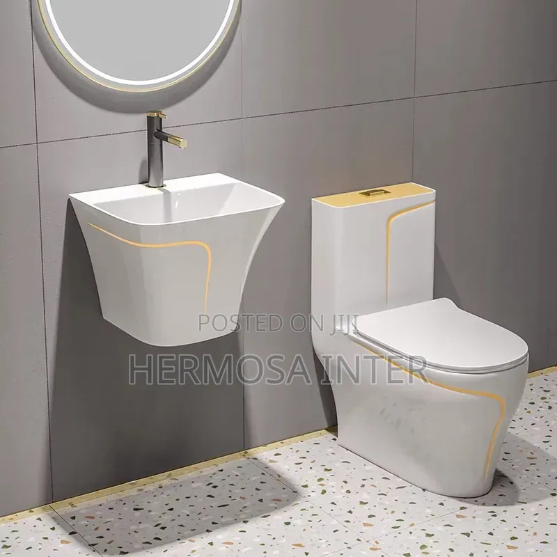 Wall Hung Handwash Basin and Toilet Seat With All Plumbing Accessories