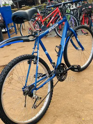 Silk Blue -Bicycle/Bike Ride, Size 26” Quality Bike