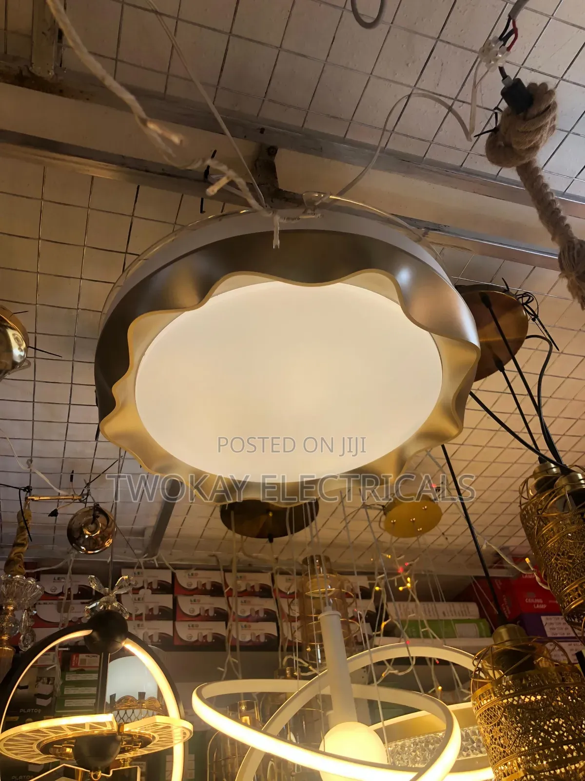 Luxury Fan Light