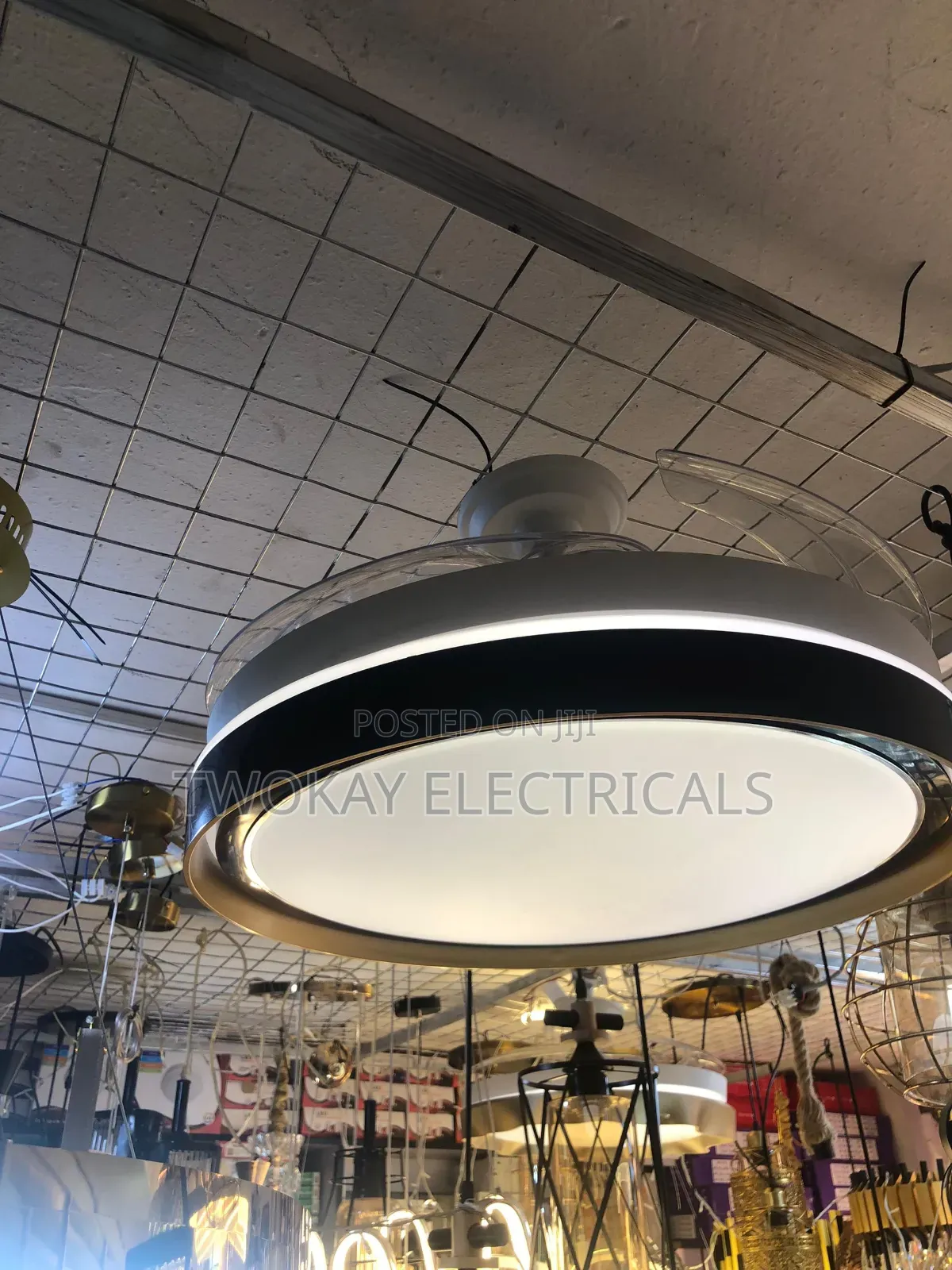 Luxury Fan Light