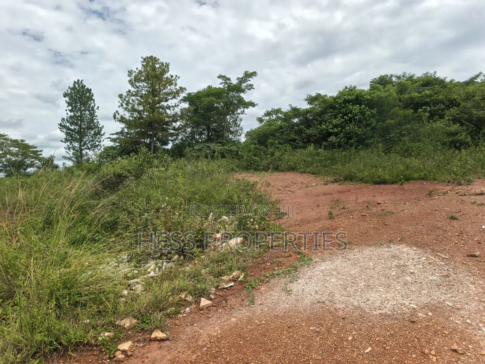 Commercial Land in Hoima