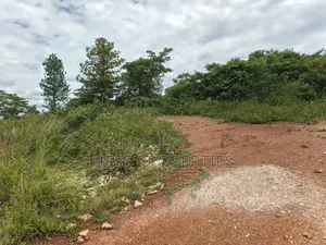 Commercial Land in Hoima