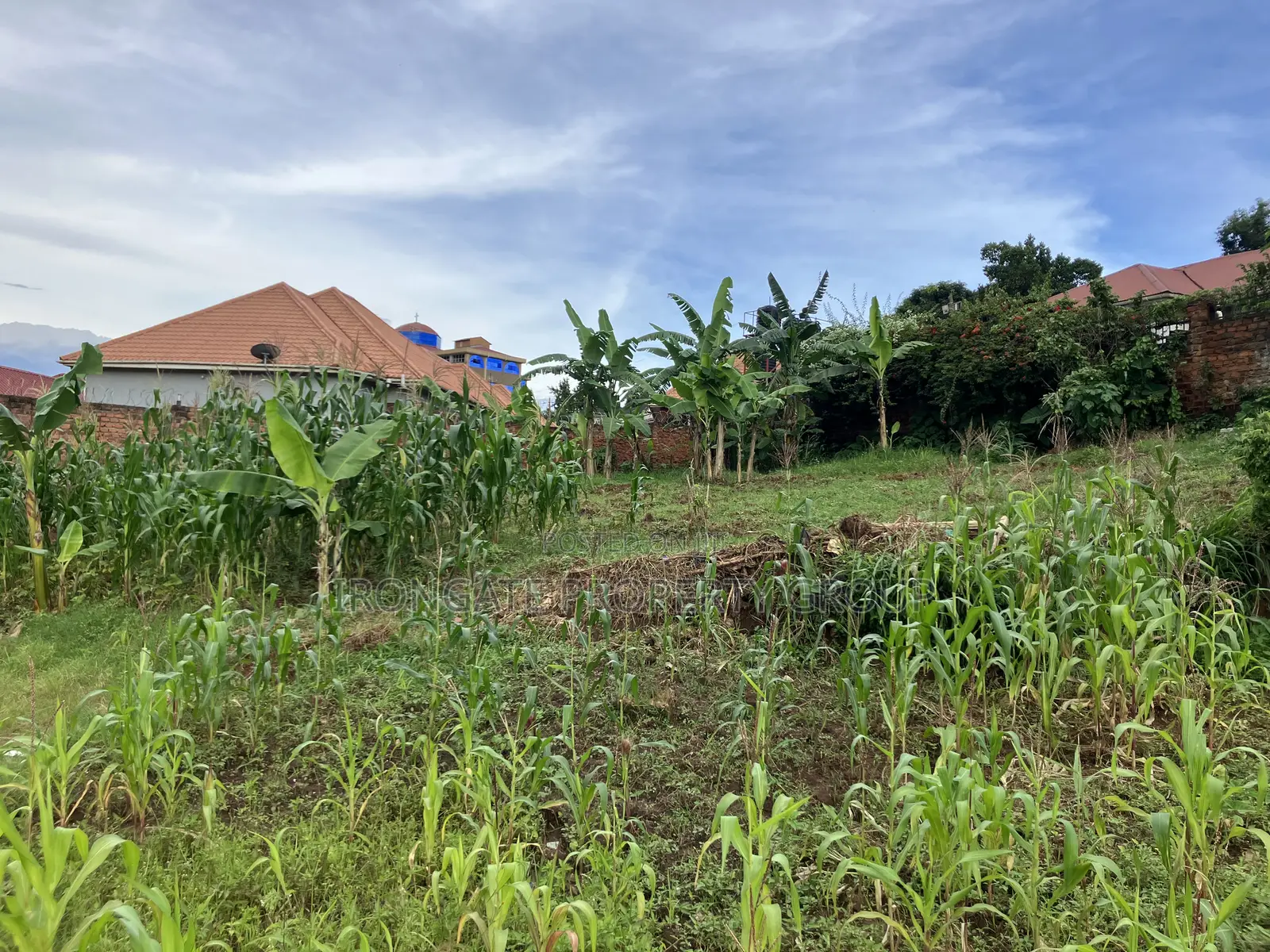 Land at Bukasa, Kirinya 18 Decimals