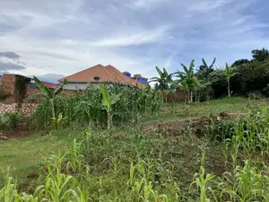 Land at Bukasa, Kirinya 18 Decimals